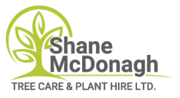 Shane Logo